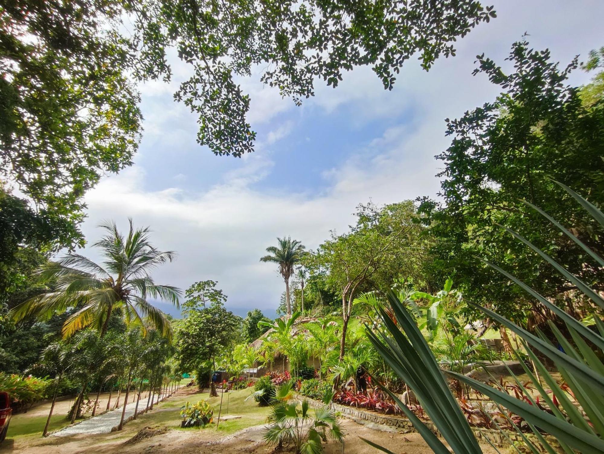 Colibri Parque Tayrona Dentro Del Parque Nacional Tayrona Bed and Breakfast El Zaino Exteriör bild