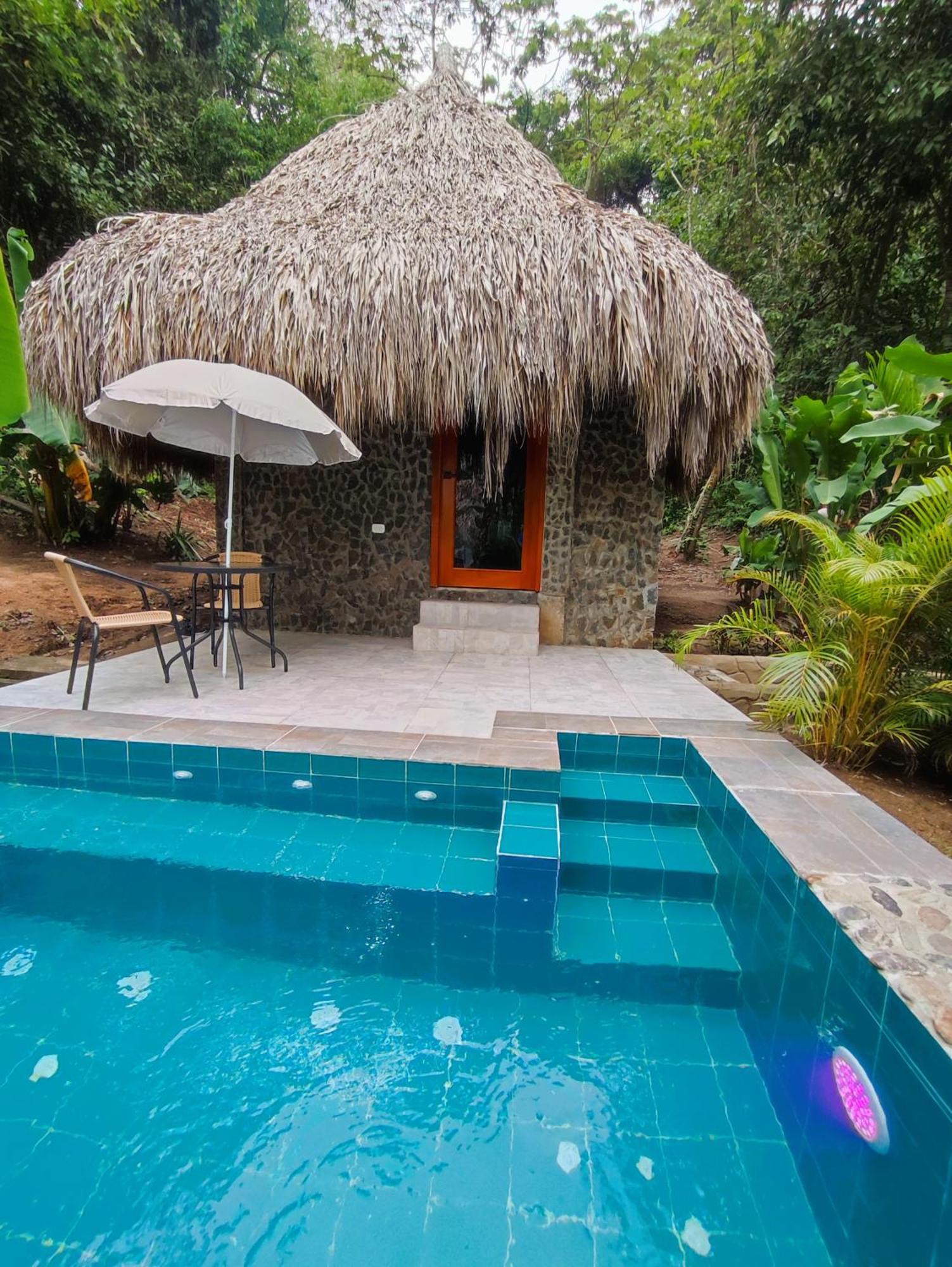 Colibri Parque Tayrona Dentro Del Parque Nacional Tayrona Bed and Breakfast El Zaino Exteriör bild