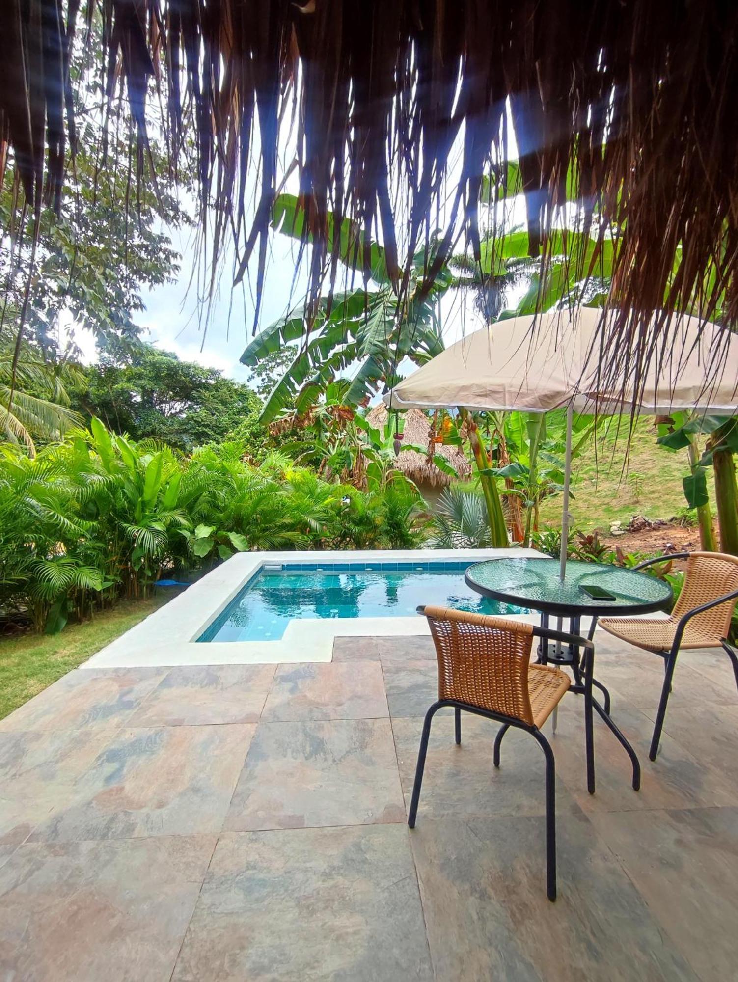 Colibri Parque Tayrona Dentro Del Parque Nacional Tayrona Bed and Breakfast El Zaino Exteriör bild