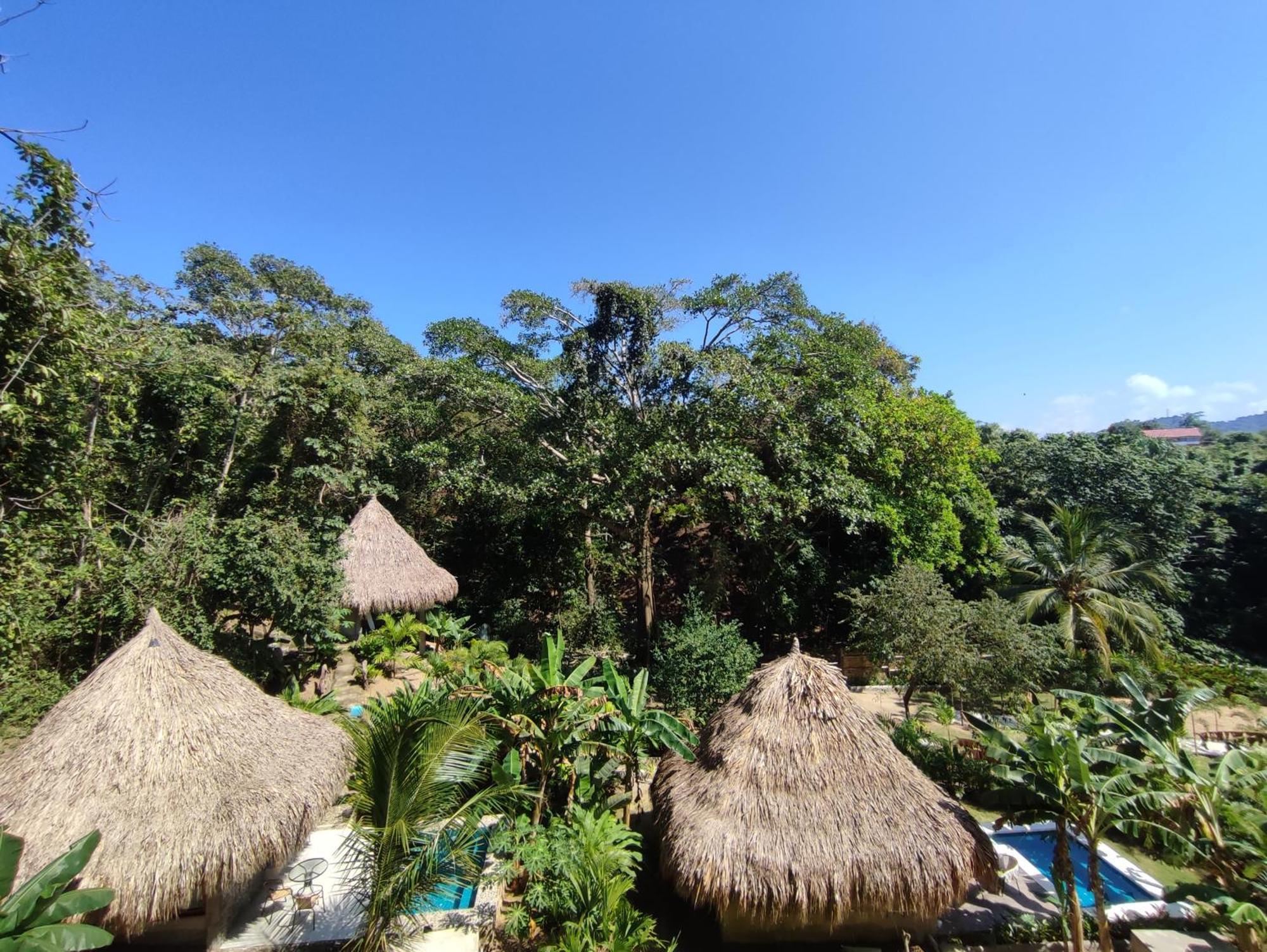 Colibri Parque Tayrona Dentro Del Parque Nacional Tayrona Bed and Breakfast El Zaino Exteriör bild